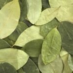 Coca Leaves 100 gr