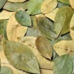 Coca Leaves 200 gr